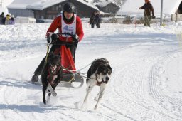 Lenk 2012 SM